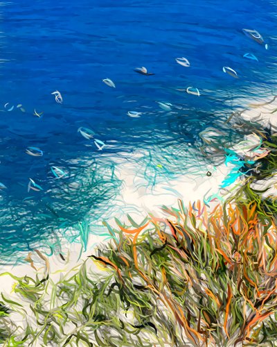 Resumo: Ocean Beach de Uma Gokhale