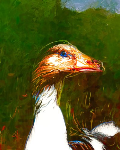 Retrato de um ganso cheio de vida de Uma Gokhale