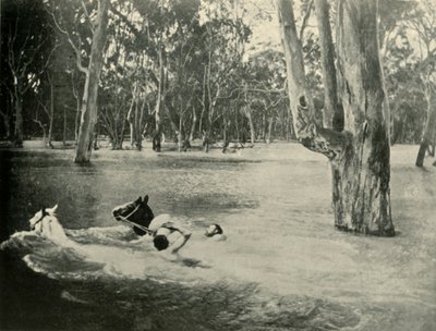 Um banqueiro, 1901. de Unbekannt