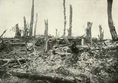 Uma escavação no que antes era uma floresta silvestre, 1919. de Unbekannt