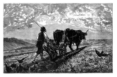 Um agricultor francês, c1890 de Unbekannt