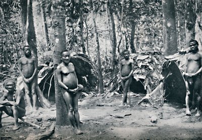 Uma aldeia pigmeu, Bacia do Nordeste do Congo, 1912 de Unbekannt