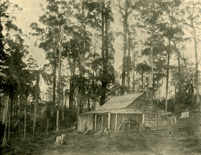 Uma habitação rústica, 1901. de Unbekannt