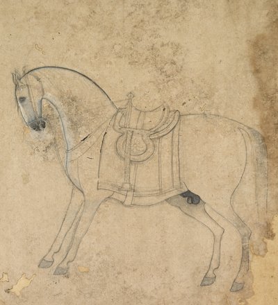 Um cavalo selado, c. 1750 de Unbekannt