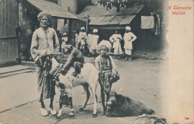 Um Tamasha Wallah. de Unbekannt