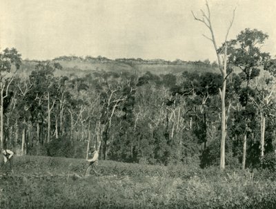 Uma fazenda de montanha vitoriana, 1901. de Unbekannt