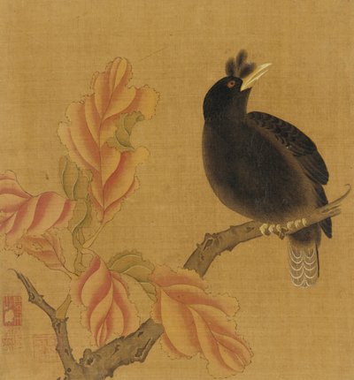 Um melro em um galho, folhas de outono, dinastia Qing, século XVIII. de Unbekannt