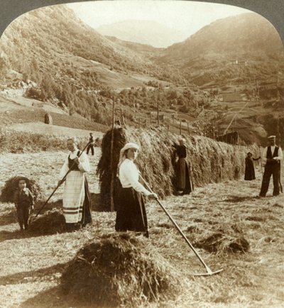 Uma família de fazendeiros que faz o feno em um campo ensolarado entre as montanhas, Roldal, Noruega, c1905. de Unbekannt