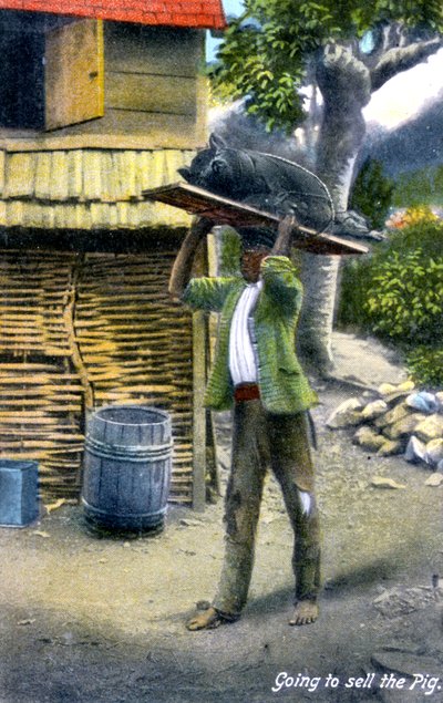 Um homem a caminho do mercado para vender um porco, Jamaica, c1900s de Unbekannt