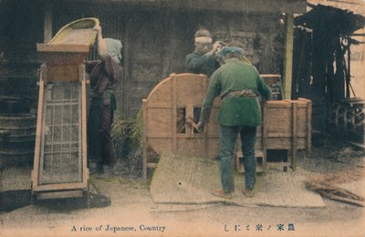 Um arroz do país japonês, c1910. de Unbekannt