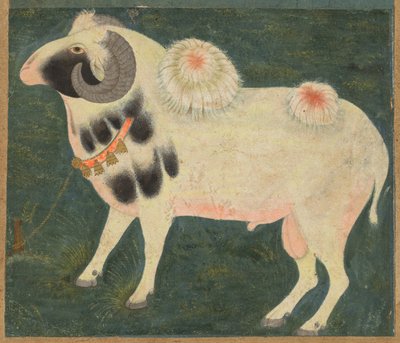 Um carneiro real com uma corrente de ouro, c. 1585, a fronteira foi adicionada provavelmente aos anos 1700. de Unbekannt