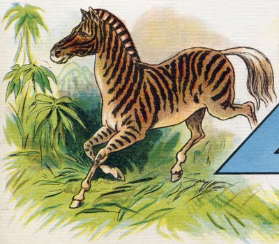 Uma zebra. Gravação em "ABC L