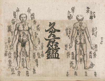Acupunctura carte du corps humain indiquant les points de moxibustion (Diagrama de Moxabustão mostrando onde a singeleza deve ser evitada de Unbekannt