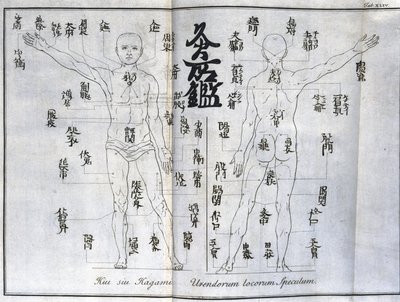 Acupunctura: mapa do corpo humano mostrando pontos de moxabustão, Japão (Gráfico relativo à moxa, c 1690) de Unbekannt