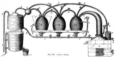 Adams ainda, 1886 de Unbekannt