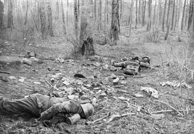 Rescaldo dos combates no parque de Plessis-de-Roye, Picardia, França, 30 de março de 1918 de Unbekannt