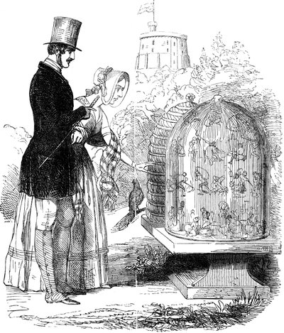 Albert, Prince Consort, mostrando suas colmeias para a rainha Victoria de Unbekannt
