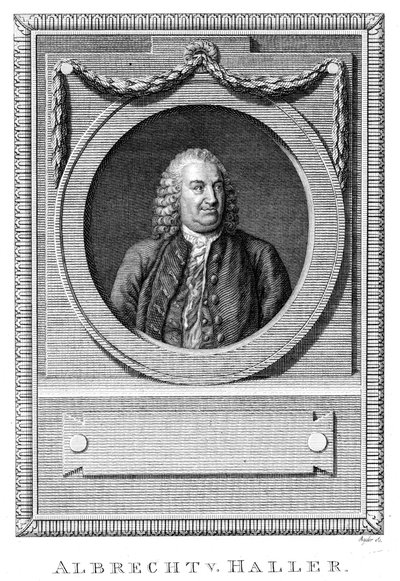 Albrecht von Haller, médico e cientista suíço, c1770 c1780 de Unbekannt