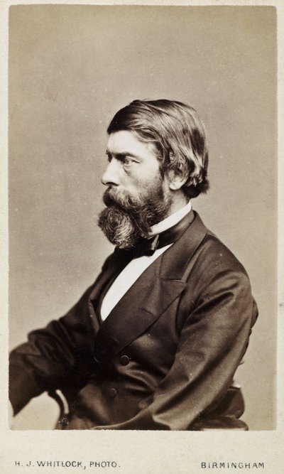 Alexander William Williamson, químico escocês, c 1865 de Unbekannt