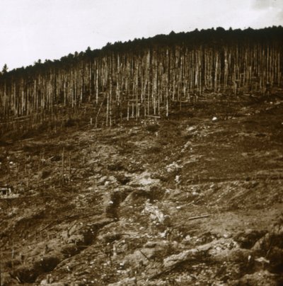 Alsácia, c1914-c1918 de Unbekannt
