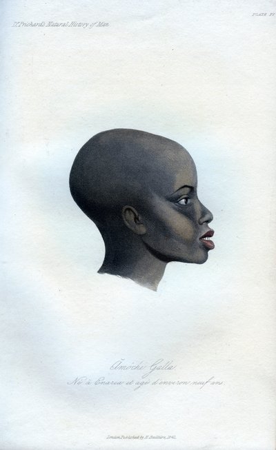 Amochi Galla, um retrato de um Galla, 1848 de Unbekannt
