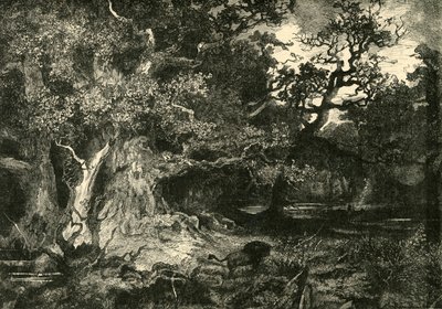 Uma antiga floresta alemã, 1890. de Unbekannt