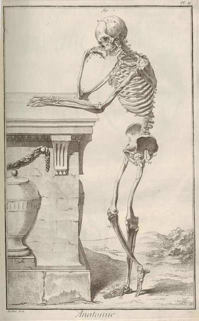 Anatomia. De Encyclopédie, de Denis Diderot e Jean Le Rond dAlembert, 1751-1765. de Unbekannt