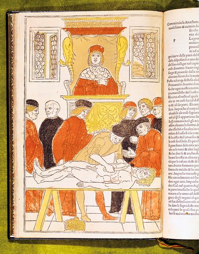 Palestra de anatomia em Pádua, Itália, 1483 de Unbekannt