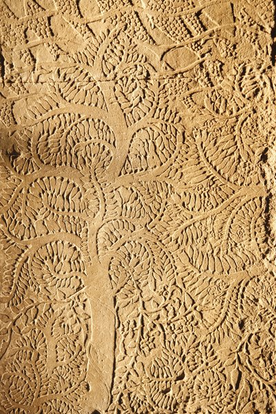 Angkor Wat, Detalhe esculpido em WallTree, Siem Reap, Camboja de Unbekannt