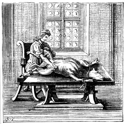 Transfusão de sangue de animal para humano, 1679 de Unbekannt
