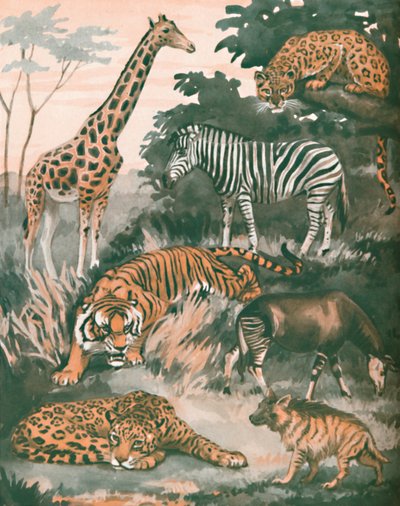 Animais ajudados por manchas e listras, 1935 de Unbekannt