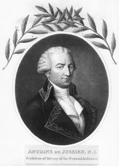 Antoine de Jussieu, botânico francês do século XVIII, 1807 de Unbekannt