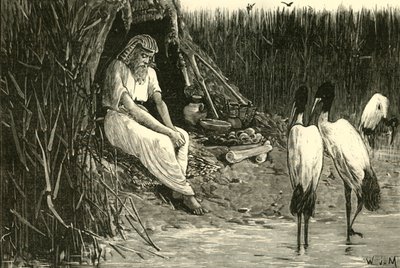 Anise escondida nos pântanos do Delta, 1890. de Unbekannt