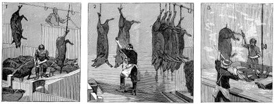 Matadouro de porcos da Armour Company, Chicago, Illinois, EUA, 1892 de Unbekannt