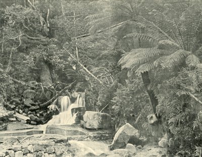 Em St. Crispins Well, 1901. de Unbekannt