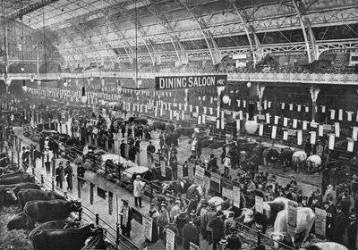 No show de gado do Smithfield Club, Agricultural Hall, Islington, Londres, 1902 1903 de Unbekannt