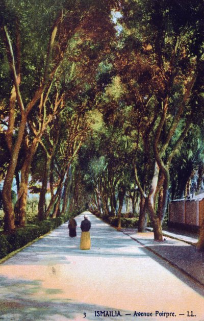 Avenue Poirpre, Ismaília, Egito, c1900 de Unbekannt