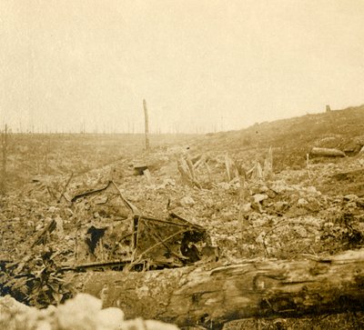 Campo de batalha, Bezonvaux, Verdun, norte da França, c1914-c1918 de Unbekannt