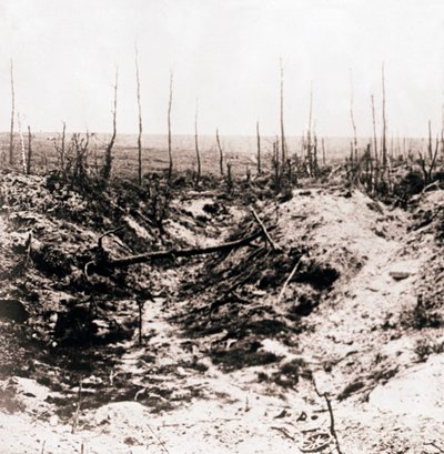 Campo de batalha, c1914-c1918 de Unbekannt