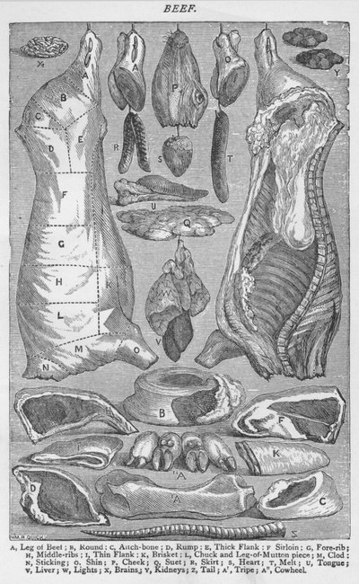 Carne, 1907, 1907 de Unbekannt