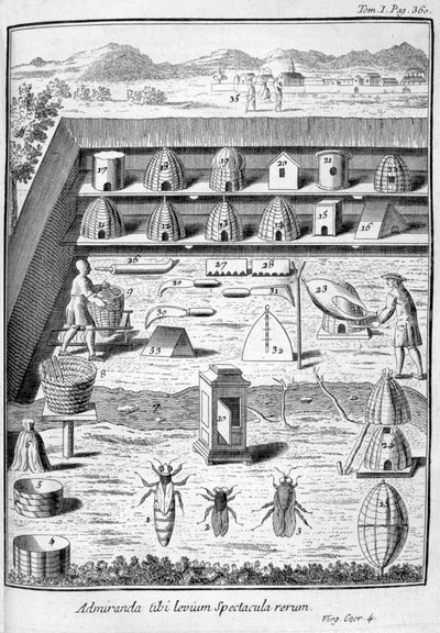 Apicultura, 1775 de Unbekannt