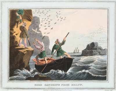 Captura de pássaro de baixo, Ilhas Shetland, 1813 de Unbekannt