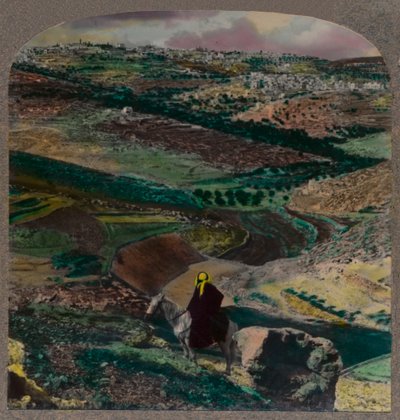 Vista aérea de Belém, com vinhas e olivais, c1900 de Unbekannt