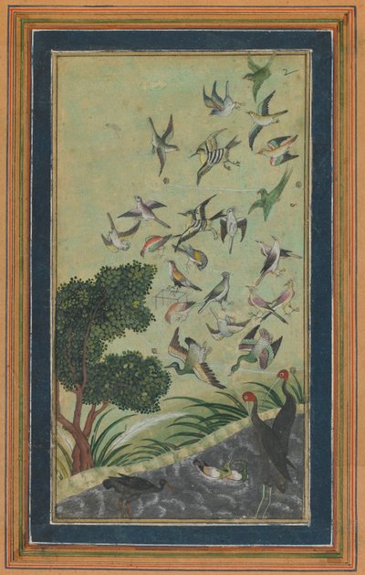 Aves em Baran, possivelmente do Babur-nama, final do século XVI. de Unbekannt