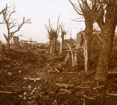 Paisagem destruída, Belloy-en-Santerre, norte da França, c1914-c1918 de Unbekannt