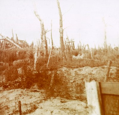 Madeira decapada, Nieuwpoort, Flandres, Bélgica, c1914-c1918 de Unbekannt