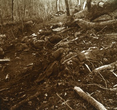 Corpos, Les Éparges, norte da França, 1915. de Unbekannt
