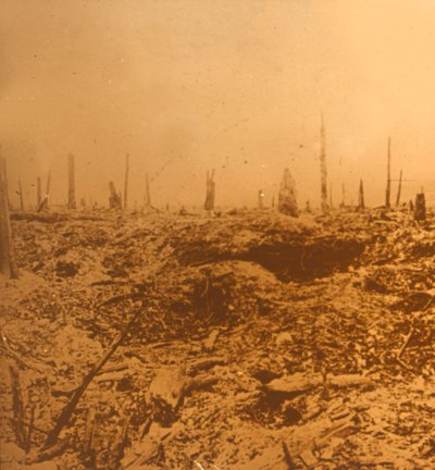 Bois du Chapitre, Vaux, norte da França, c1914-c1918 de Unbekannt