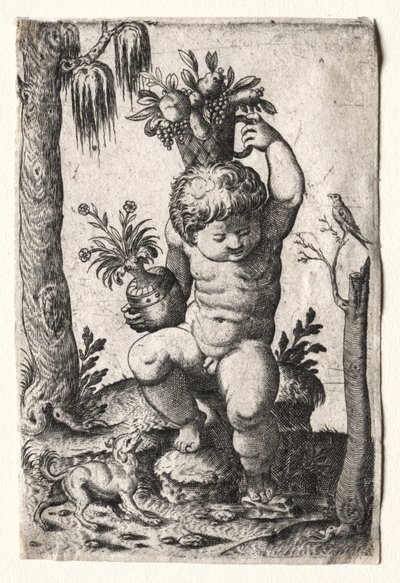 Menino com cesto de frutas, 1500 ou 1600. de Unbekannt