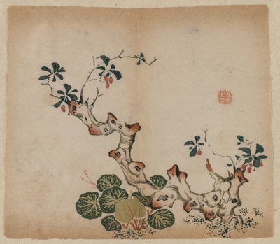 Toco de ramificação, 1368-1644. de Unbekannt